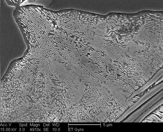 /static/micrographs/micrograph1.png