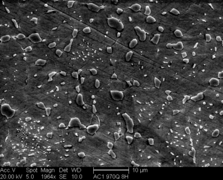 /static/micrographs/micrograph10.png