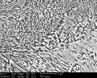 /static/micrographs/micrograph1011.png