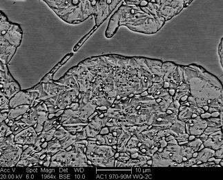 /static/micrographs/micrograph1027.png