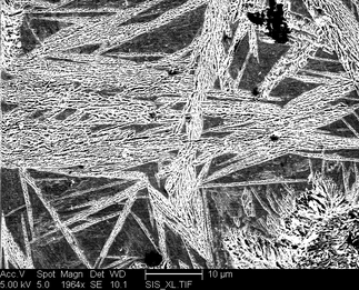 /static/micrographs/micrograph1079.png