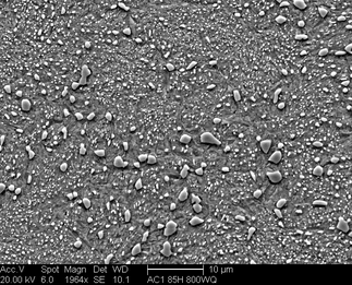 /static/micrographs/micrograph11.png