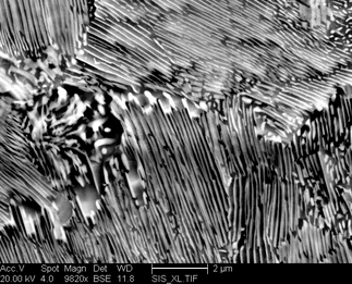 /static/micrographs/micrograph1101.png