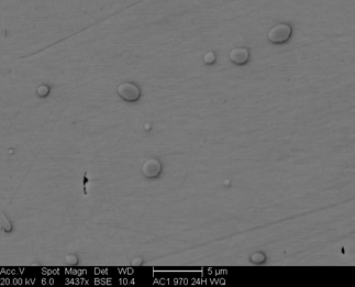 /static/micrographs/micrograph1201.png