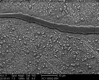 /static/micrographs/micrograph122.png