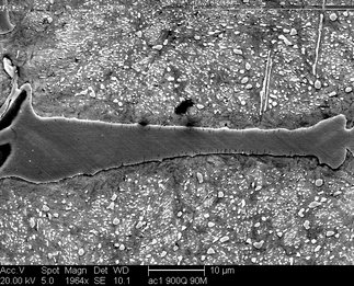 /static/micrographs/micrograph1232.png