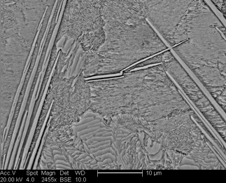 /static/micrographs/micrograph1267.png
