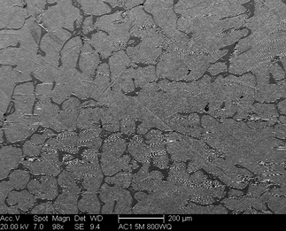 /static/micrographs/micrograph13.png