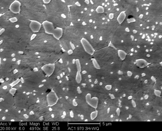 /static/micrographs/micrograph1361.png