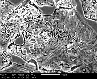 /static/micrographs/micrograph137.png
