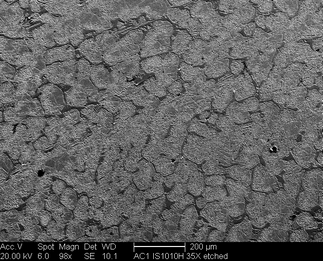 /static/micrographs/micrograph14.png