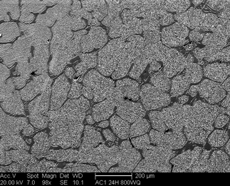 /static/micrographs/micrograph1408.png