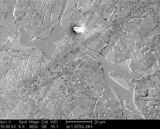 /static/micrographs/micrograph1427.png
