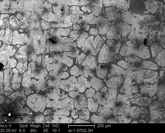 /static/micrographs/micrograph1558.png