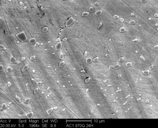 /static/micrographs/micrograph156.png