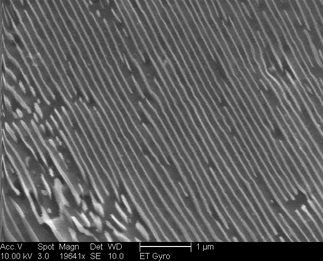 /static/micrographs/micrograph1698.png
