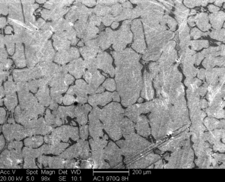 /static/micrographs/micrograph18.png