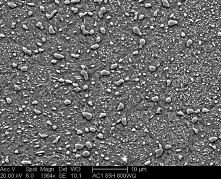 /static/micrographs/micrograph2.png