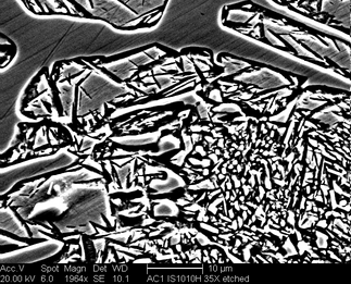 /static/micrographs/micrograph20.png