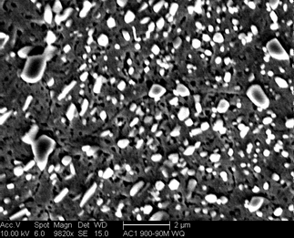 /static/micrographs/micrograph205.png
