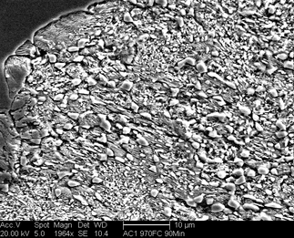 /static/micrographs/micrograph224.png