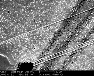 /static/micrographs/micrograph26.png