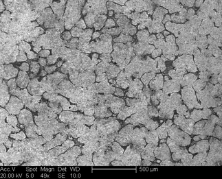 /static/micrographs/micrograph28.png