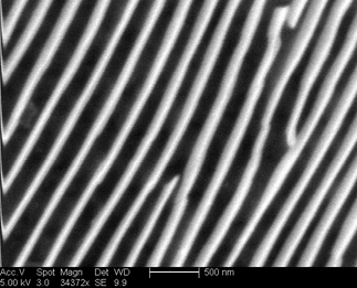 /static/micrographs/micrograph284.png