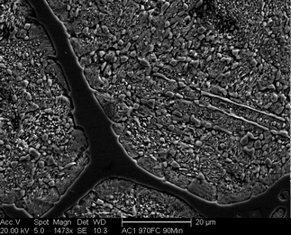 /static/micrographs/micrograph29.png