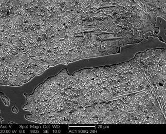 /static/micrographs/micrograph30.png