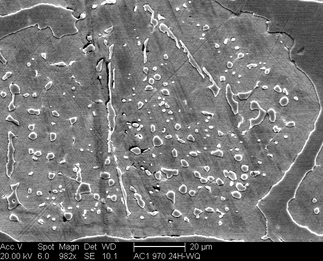 /static/micrographs/micrograph32.png