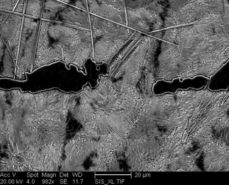 /static/micrographs/micrograph329.png