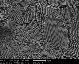 /static/micrographs/micrograph349.png