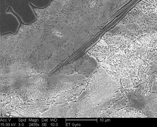 /static/micrographs/micrograph397.png