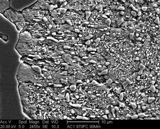 /static/micrographs/micrograph4.png