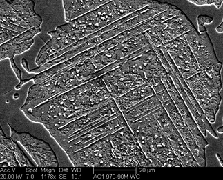 /static/micrographs/micrograph471.png