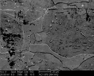 /static/micrographs/micrograph472.png