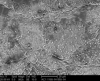 /static/micrographs/micrograph499.png