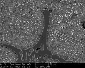 /static/micrographs/micrograph551.png
