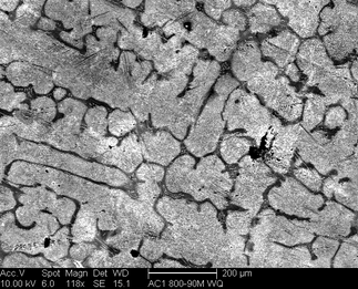 /static/micrographs/micrograph584.png