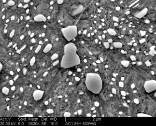 /static/micrographs/micrograph594.png