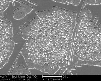 /static/micrographs/micrograph6.png
