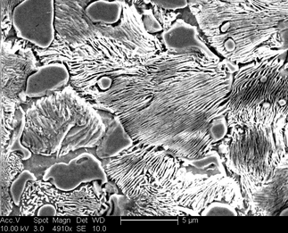 /static/micrographs/micrograph644.png