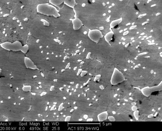 /static/micrographs/micrograph664.png