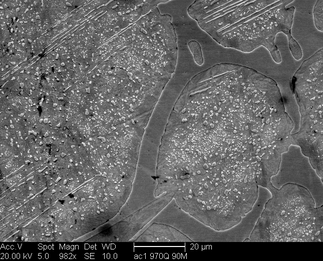 /static/micrographs/micrograph7.png