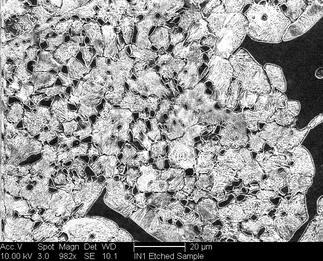 /static/micrographs/micrograph71.png