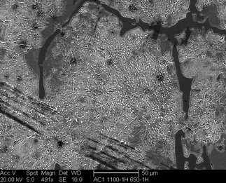 /static/micrographs/micrograph779.png