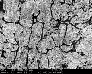 /static/micrographs/micrograph8.png