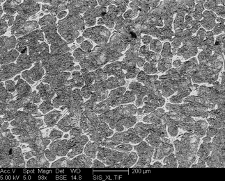/static/micrographs/micrograph861.png