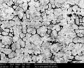 /static/micrographs/micrograph9.png